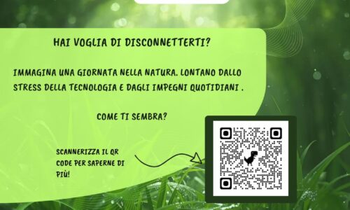 Digital Detox per imparare a gestire il digitale con equilibrio e consapevolezza